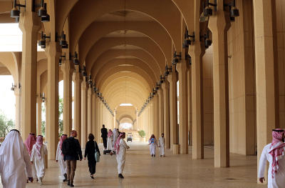 تُعَد المملكة العربية السعودية في الوقت الراهن الأمة الأكثر إنتاجًا في مجال الأبحاث في المنطقة العربية.